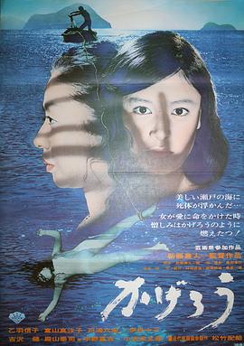蜉蝣