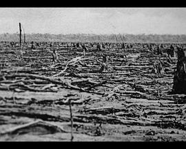On Taphonomy