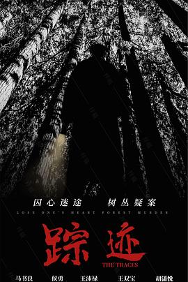 踪迹 海报