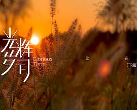 光辉岁月——“此去”（下篇）