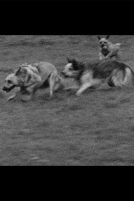 Underdog