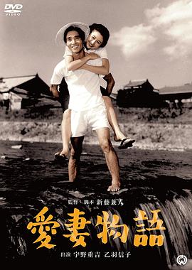 爱妻物语 海报