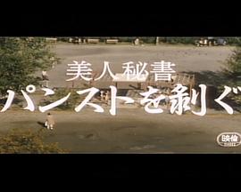 美人秘書 パンストを剥ぐ