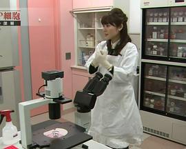 调查报告：“STAP细胞”学术造假真相
