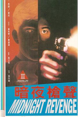 暗夜枪声 海报