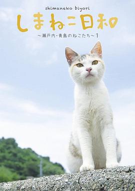 俺是猫，欢迎来俺家玩