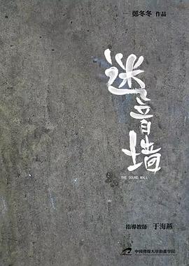 迷音墙