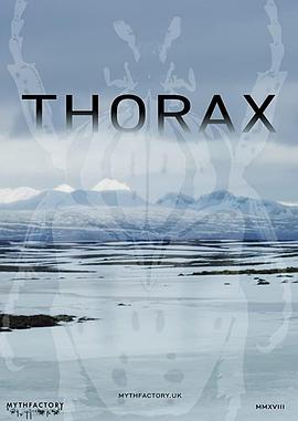 Thorax