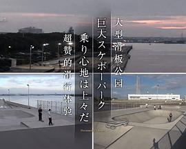 ドキュメント72時間：巨大スケボーパーク 乗り心地は上々だ