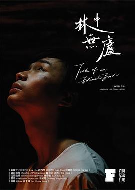 林中无庐