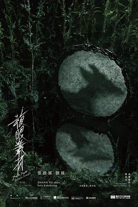 热带复眼