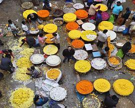 Life in a Bowl - Bangalore