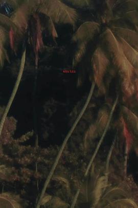 我们的岛屿