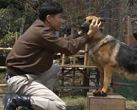 导盲犬诞生物语