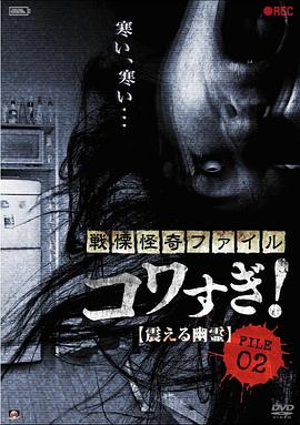 战栗怪奇：惊吓!  FILE-02 震撼幽灵