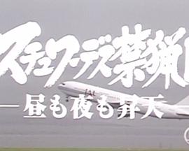 空姐保护区 - 昼夜飞天 -