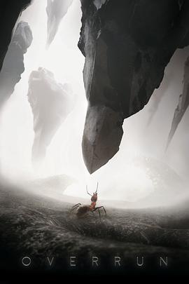 蚂蚁的旅程