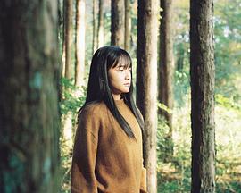 A Walk in the Woods