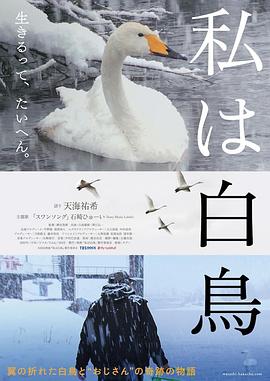 我是天鹅