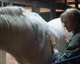 The Horses