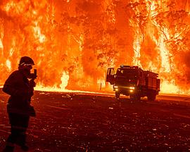 Fire Front