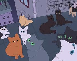 Mr.Catman Bring Me A Dream