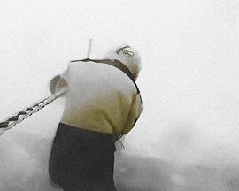 风起