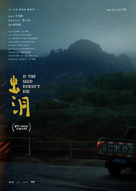 出洞